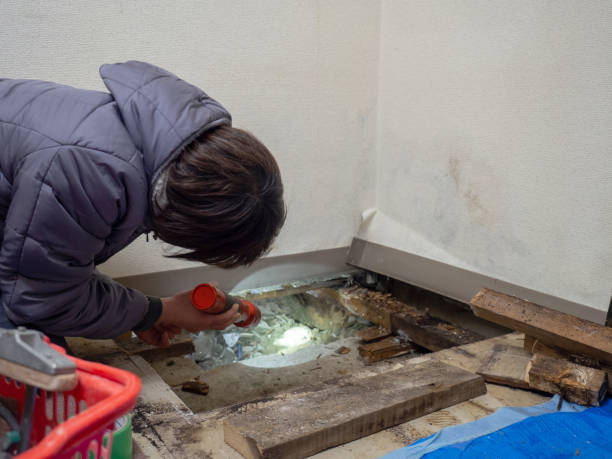Best Air Quality Testing for Mold Spores  in Lithopolis, OH