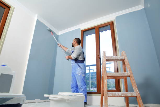 Best Water Damage & Mold Remediation  in Lithopolis, OH
