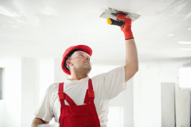 Best Airborne Mold Testing  in Lithopolis, OH