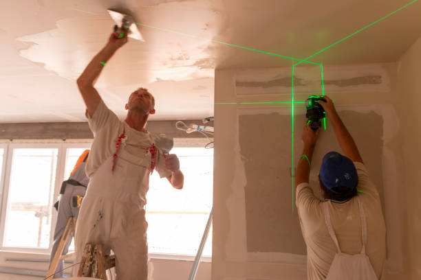 Best Environmental Consulting for Mold Prevention  in Lithopolis, OH