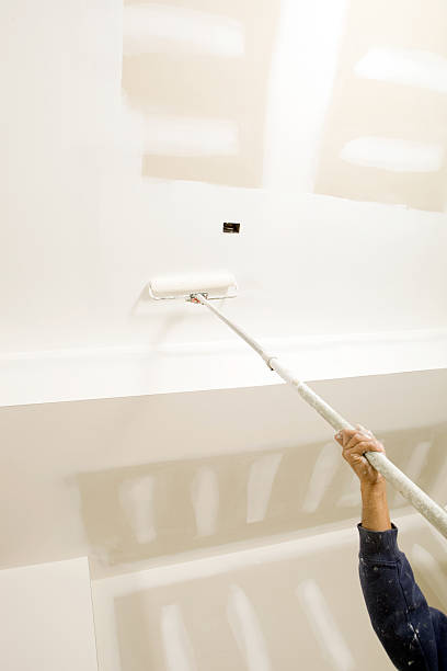 Best Mold Damage Restoration  in Lithopolis, OH