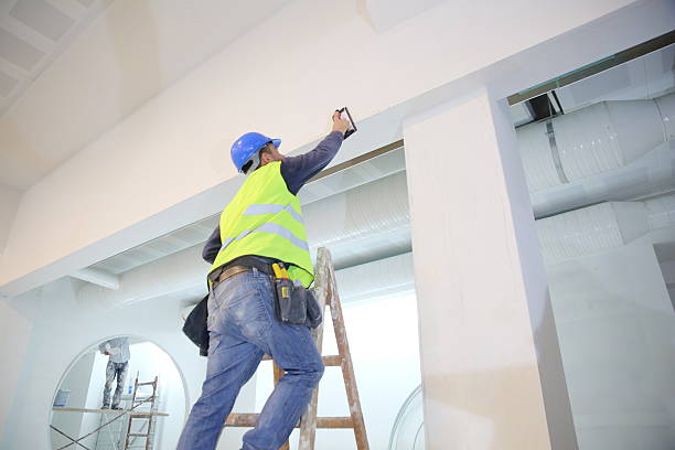 Mold Documentation for Insurance Claims in Lithopolis, OH