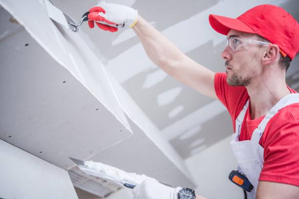 Best Mold Documentation for Insurance Claims  in Lithopolis, OH